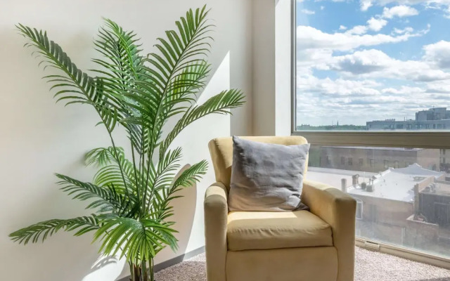 New & Modern  Lux City Escape