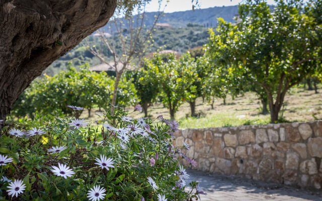 Klymeni Traditional Homes