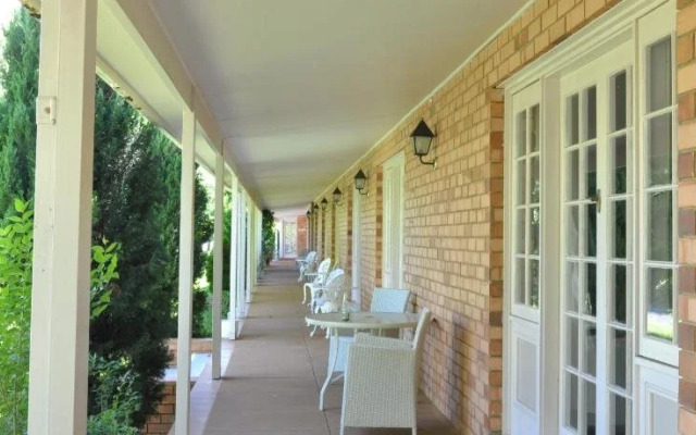 Poplars at Mittagong