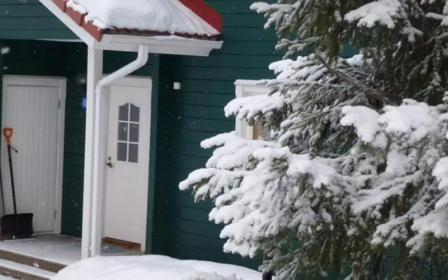 Larus Vuokatti Cottages