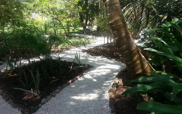 Jungle Paradise Beach Resort & Spa Mbweni Ruins