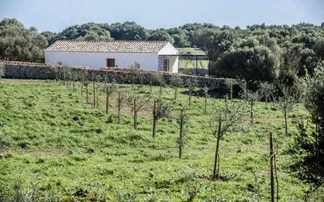 Torre Vella – Fontenille Collection