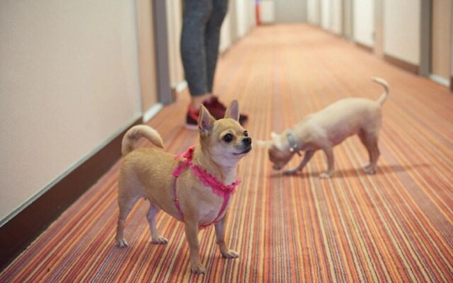 Ace Hôtel Noyelles Godault