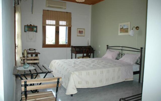 Elenis Olive green Studio