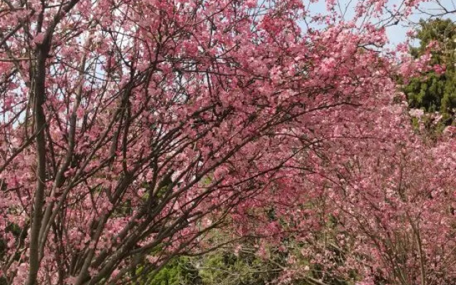 Xinhua International Holiday Hotel