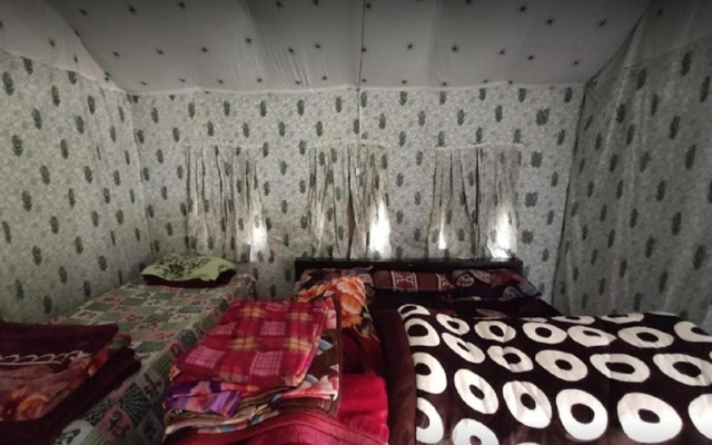 Camping At Natures Nest