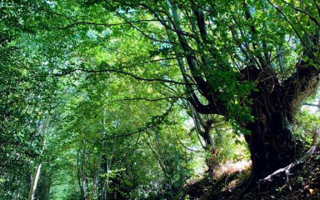 La Clef Des Champs 61