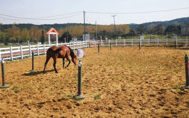 Atlitur Gumusdere Beach Camp