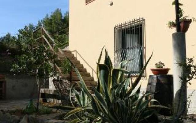 B&B Il Vigneto