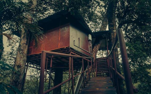 Ela Ecoland Munnar - A Nature Retreat
