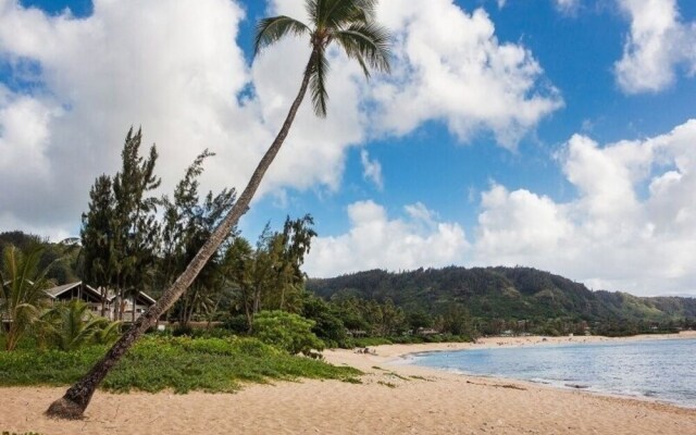 Haleiwa Sunshine 3 Bedroom Home