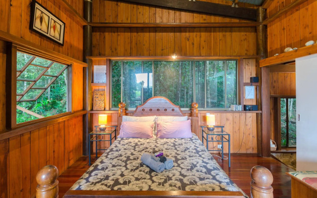 The Epiphyte Bed & Breakfast