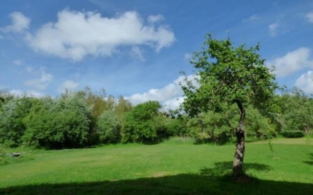 Soufflee Dans Le Vent