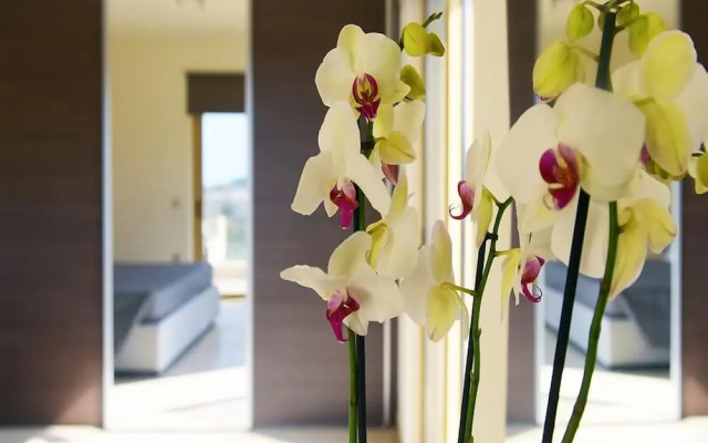 Stelia Luxury Apartments