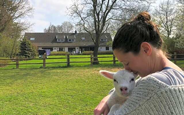 Het Geheim Van Merselo