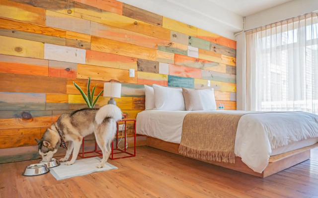 Mayan Monkey Cancun | Social Hotel