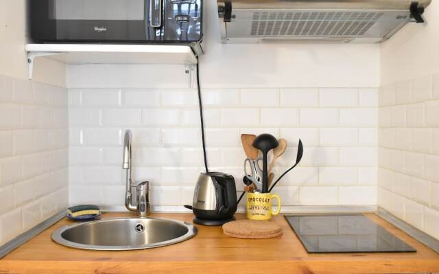 Parisian Studio for 1 in Petit-montrouge
