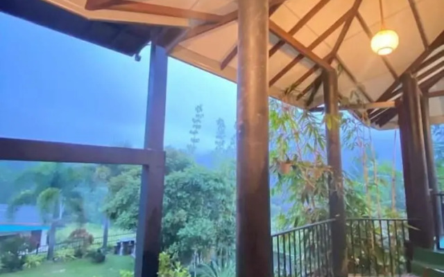 Villa Shungite