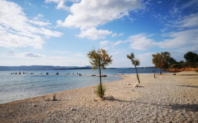 Apartment Sveto - 400 m from beach: A1 Biograd, Riviera Biograd