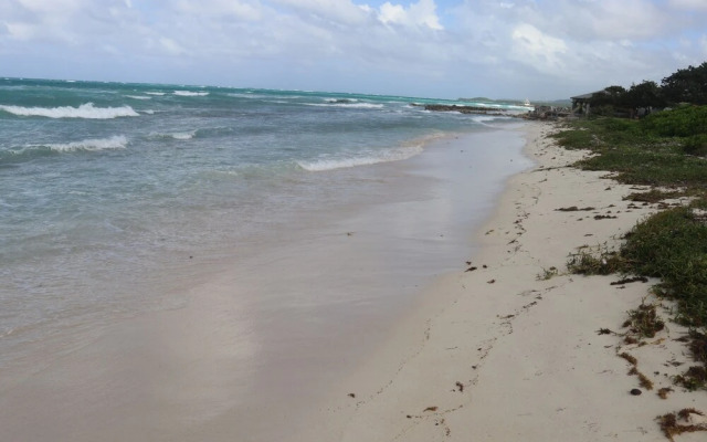 Beach Palm Villa