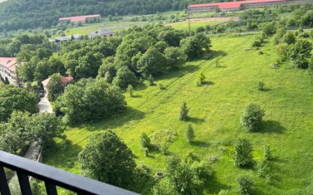 Цахкадзор, Tsaxkadzor, Kechi House apartment 300