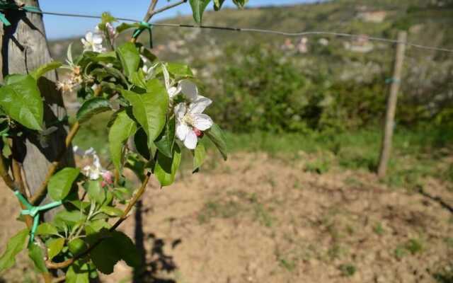 La Locanda di Campagna