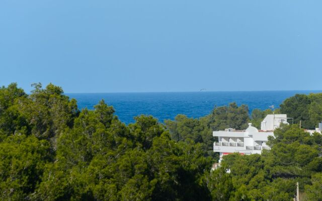 New! Villa Cas Puig