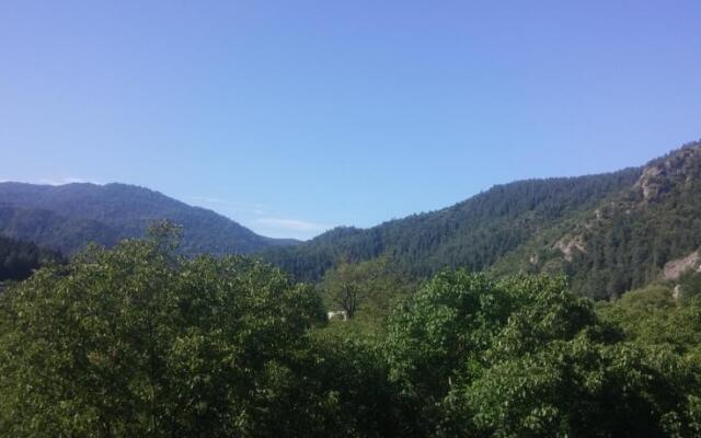 Guest House on Gogebashvili 5