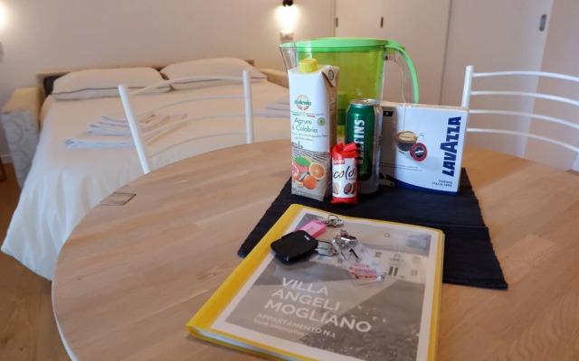 Villa Angeli Mogliano