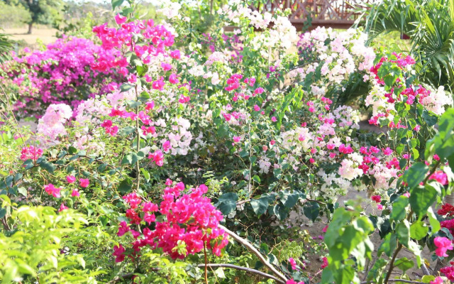 Khmer House Bungalow