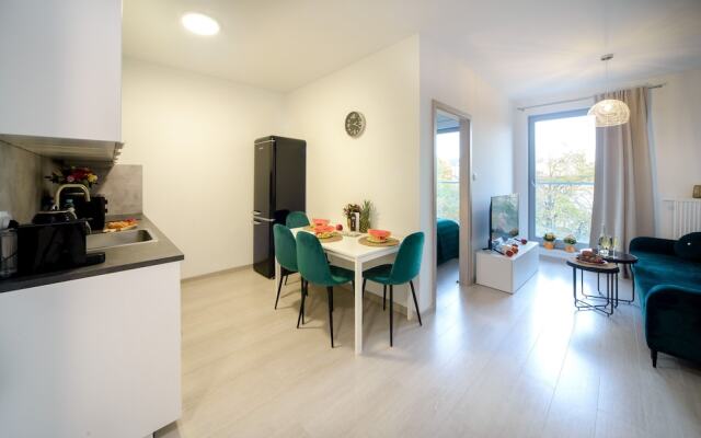 Maya's Apartments - Toruńska 22
