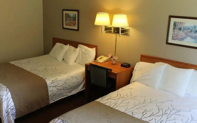 Edmore Inn