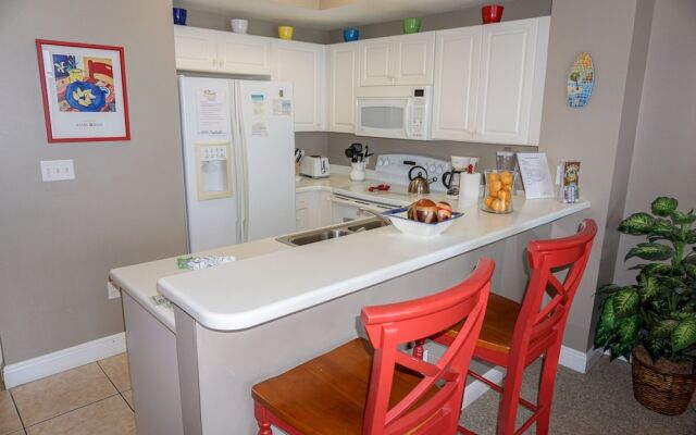 Celadon 304 - 1083843