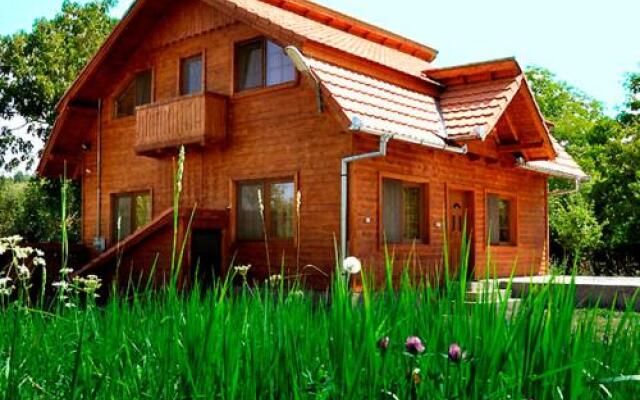 Pensiunea Iancu Malaiesti