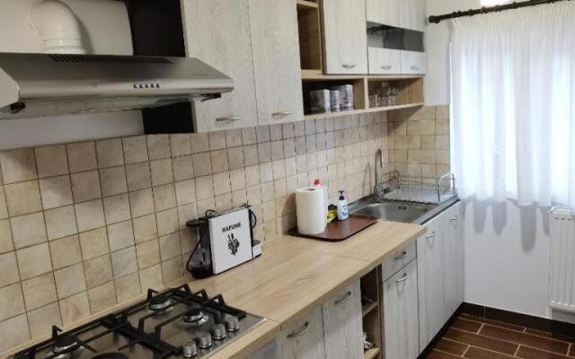 Rustic House Busteni