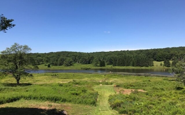 Lost Branch on the Lake