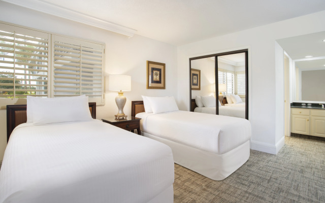 Saddlebrook Golf Resort & Spa Tampa North - Wesley Chapel