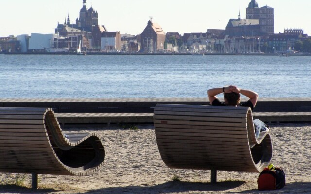 Sanddorn Altef hr in Altef hr