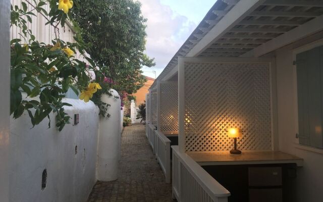 At Home in the Tropics