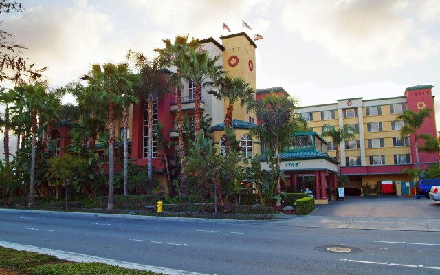 Peacock Suites
