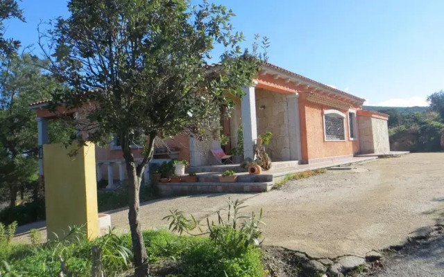 La Calendula