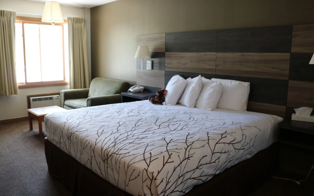 Roosevelt Inn Mount Rushmore