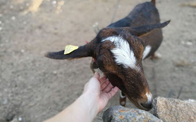 Agroturismo Can Prats