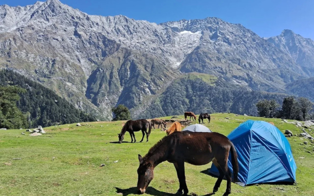 Hostel Hikers World