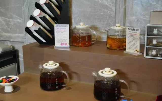 Xuchang Guest House