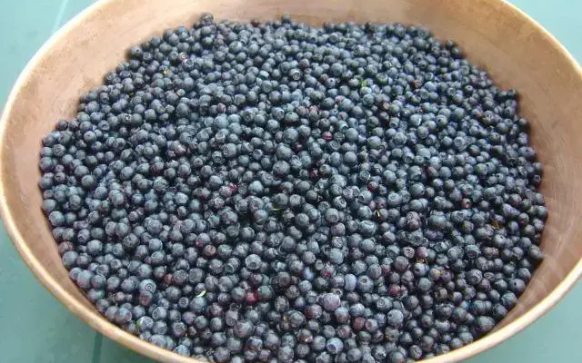 Le Solé Bassurois