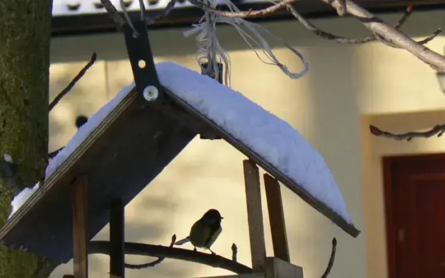 Pod Gadającym Kotem