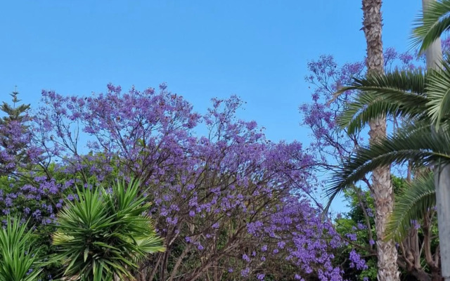 "Vero Vijola" in Torrevieja