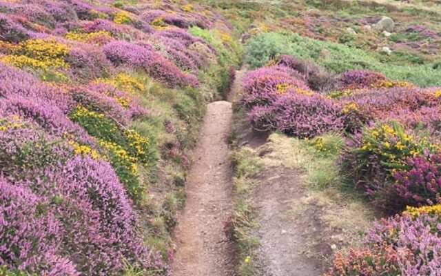 Cosy Shepherds Hut nr Kynance Cove