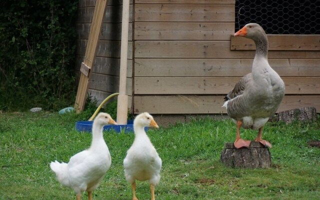 Le Domaine du Vigneau